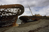 Estancia San Gregório, Magallanes Region, Chile: the rusting ship hulk of the Ambassador, on the beach at the ghost ranch - Patagonia - photo by C.Lovell