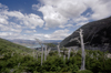 Torres del Paine National Park, Magallanes region, Chile: Lake Nordenskjöld and southern beech forest from the French Valley - ñire - photo by C.Lovell