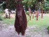 Cap Estérias, Estuaire province, Gabon: Gabonese art - sculpture - African mask - photo by B.Cloutier