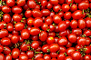 Germany / Deutschland / Allemagne -  Baden-Wurttemberg - Schwäbisch Gmünd - market - Feldfrucht,Feldfrüchte,fruit,Gemüse,Obst,salad,Salat,Tomaten,tomato,tomatoes,vegetables (photo by W.Schmidt)