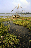 India - Cochin / Kochi: Chinese fishing nets - photo by W.Allgöwer