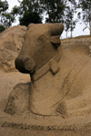 India - Kanchipuram (Tamil Nadu): Nandi bull, the white bull which Shiva rides- religion - Hinduism - Hindu mythology - Itihasa - photo by W.Allgöwer