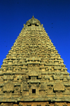 India - Tanjore / Thanjavur (Tamil Nadu): Gopuram at Brihadeeswarar temple - part of the UNESCO World Heritage Site Great Living Chola Temples - religion - Hinduism - photo by W.Allgöwer