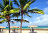 Dzaoudzi, Petite-Terre, Mayotte: beach parasols and coconut trees - Faré beach - Boulevard des Crabes - photo by M.Torres