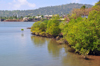 Dzaoudzi, Petite-Terre, Mayotte: mangroves - Vasière des Badamiers mangal - photo by M.Torres