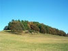 Slovakia - Zolna: autumn - hill - field - Zvolen District - Banská Bystrica Region - photo by Milos Bercik